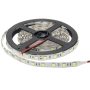 LED STRIP 24V 5050 60 SMD/m 6000K NON-WATERPROOF