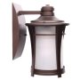 LED FLAME LAMP 5W SMD AC100-240V BRONZE COLOUR/FIRE UP/DOWN
