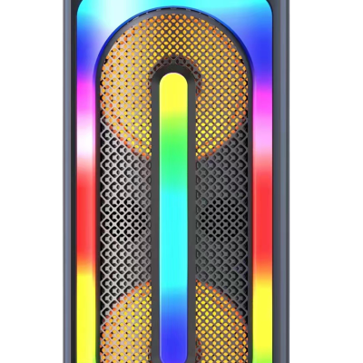 PORTABLE PARTY BLUETOOTH SPEAKER 2X8INCH