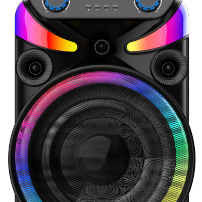 PORTABLE PARTY BLUETOOTH SPEAKER 1X15INCH