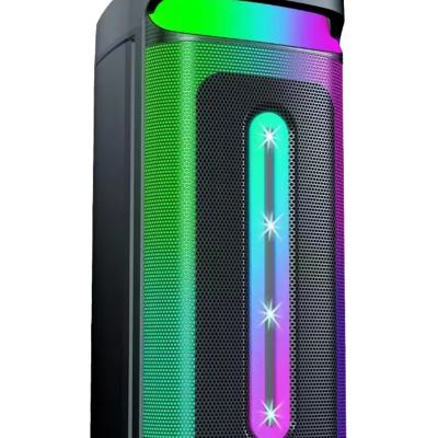 PORTABLE PARTY BLUETOOTH SPEAKER 2X8INCH